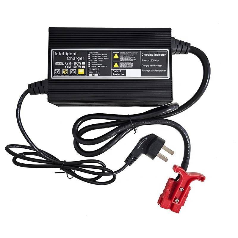 12V 24V 36V 48V lifePo4 battery charger 59.4V lithium battery charger 6A 10A 15A 20A scooter charger